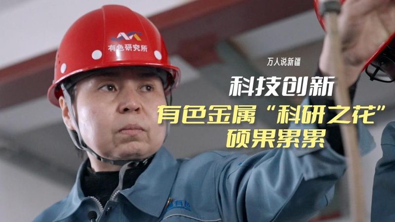 软件测试文档编写软件